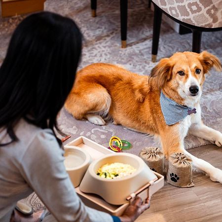 Abesq Doha Hotel And Residences, An Ihg Hotel Exteriér fotografie A dog at the Four Seasons Hotel, Hong Kong